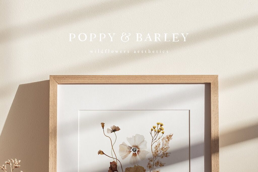 POPPY BARLEY Autumn Wildflowers Graphic Free Download